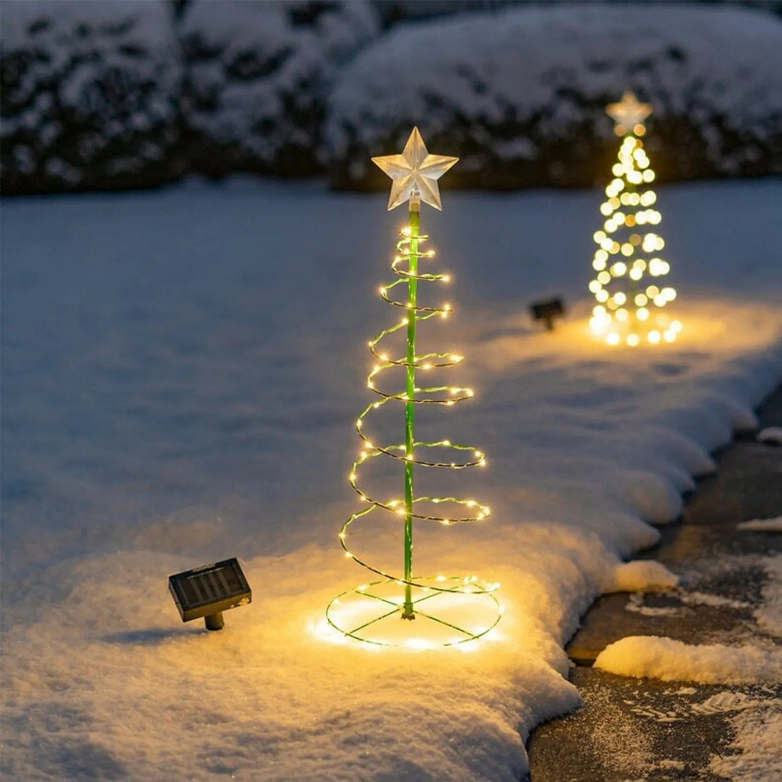 Christmas Tree Lighting