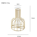 Iron Metal Vase for Hydroponic Decor