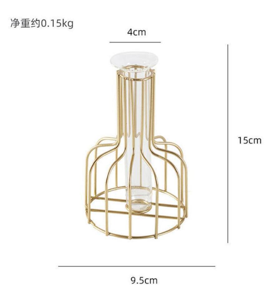 Iron Metal Vase for Hydroponic Decor